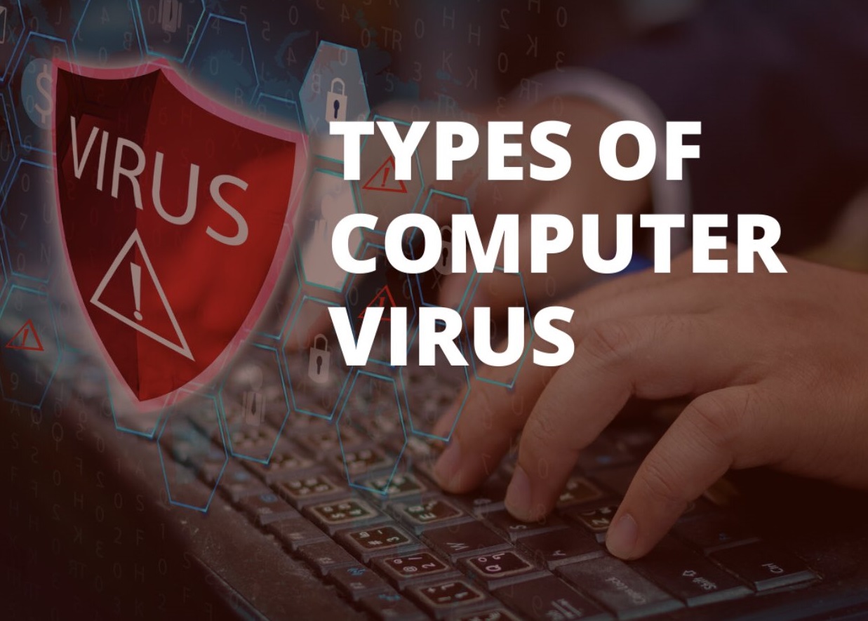 An Informational Guide on 10 Types of Computer Viruses - Think SkyLess