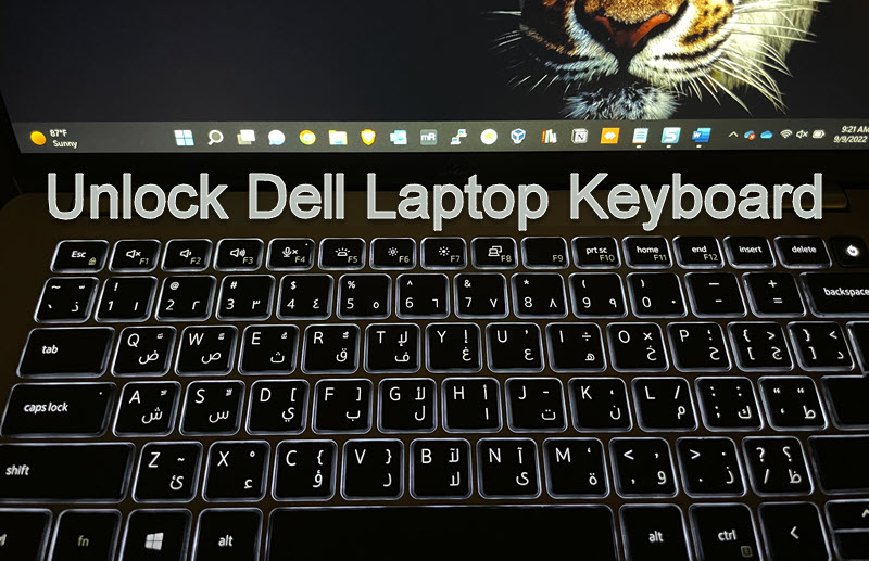 how to unlock keyboard on dell laptop windows 10